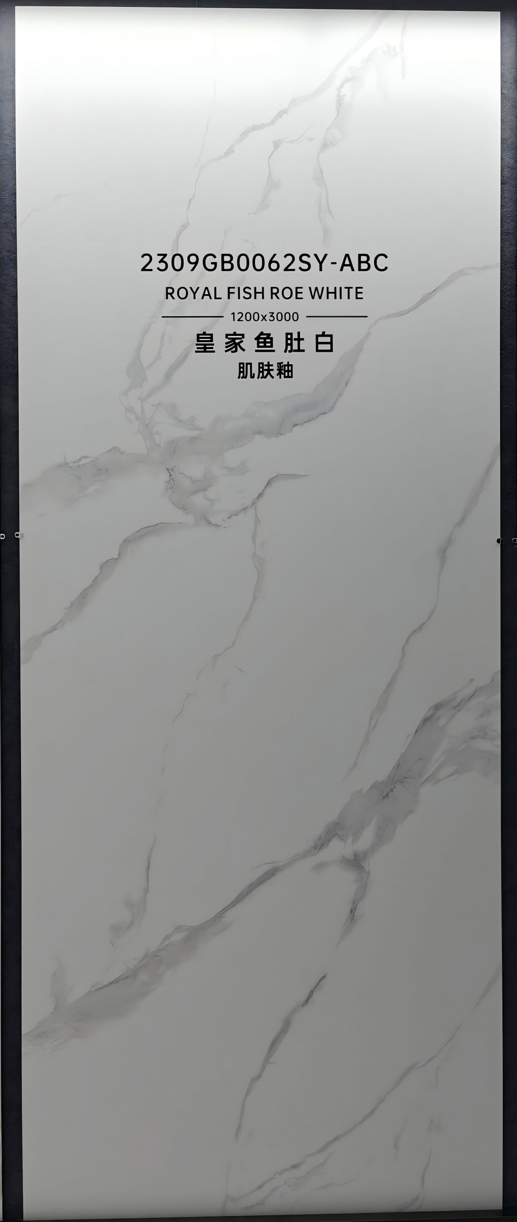 2309GB0062Q-ABC Premium Royal Fish Belly White Sintered Stone Slab | 1200×3000mm 9mm