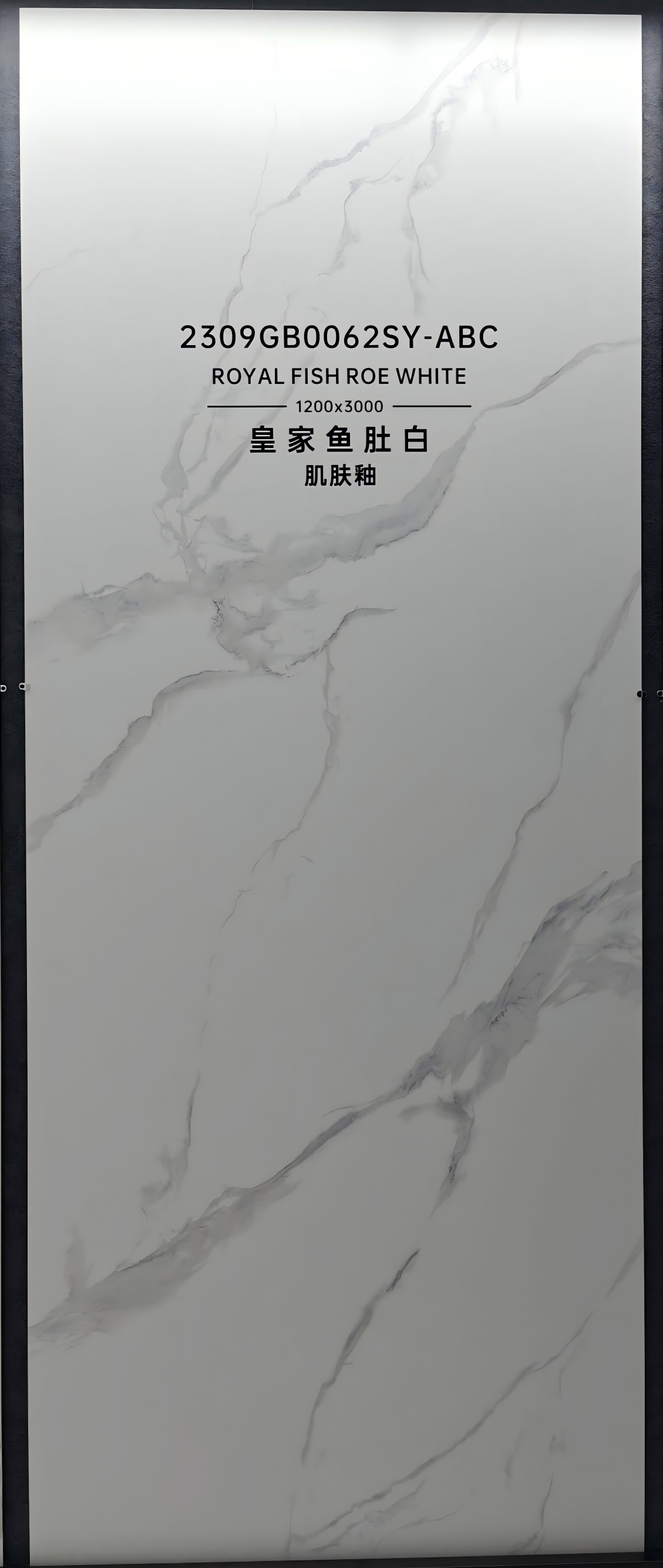 2309GB0062Q-ABC Premium Royal Fish Belly White Sintered Stone Slab | 1200×3000mm 9mm