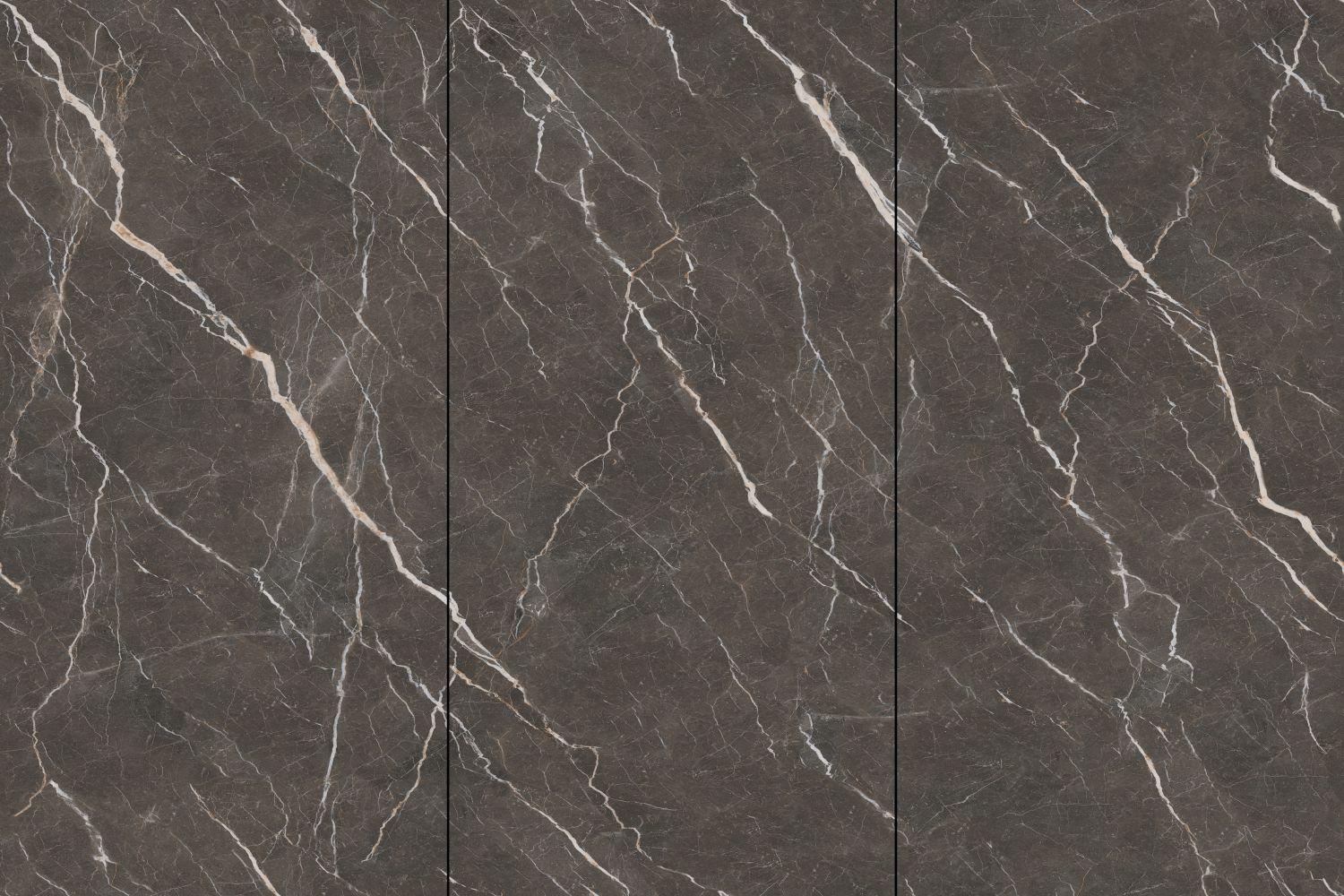2409L5006Q AUSTIN BROWN Ceramic Floor Tile-Size 1200×2400×9mm