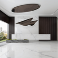 2309GB211Q-ABC New Greek White Sintered Stone Slab | 1200×3000mm 9mm