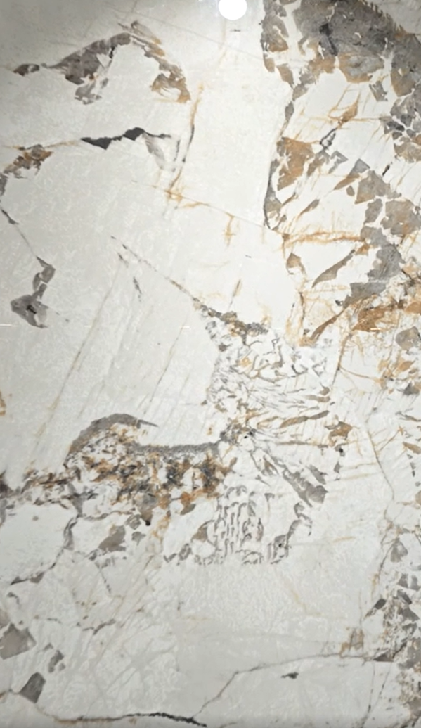 2309GB0240Q-ABC Dropping Flower Pandora Sintered Stone Slab | 1200×3000mm 9mm