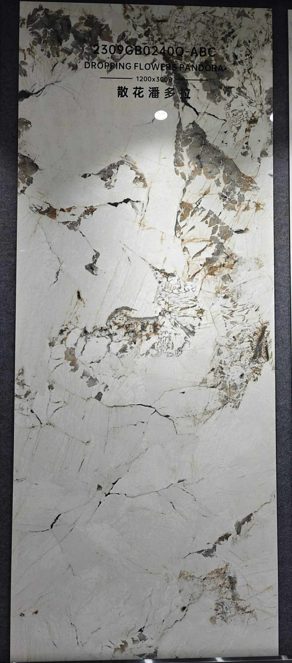 2309GB0240Q-ABC Dropping Flower Pandora Sintered Stone Slab | 1200×3000mm 9mm