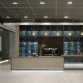 BD2020K11 Quartz Stone Countertop Skin-like Lacquer Finish Door Panel Kitchen Cabinet